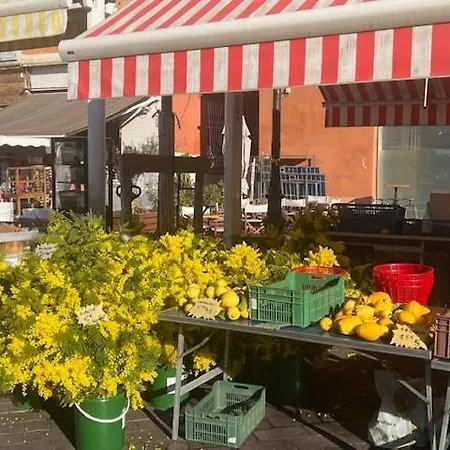 Lejlighed Le Fighiera
